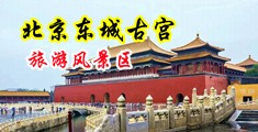 狂插女人的后面视频中国北京-东城古宫旅游风景区